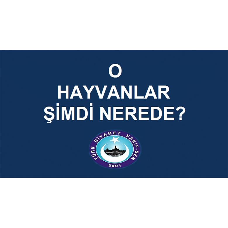 O HAYVANLAR ŞİMDİ NEREDE?